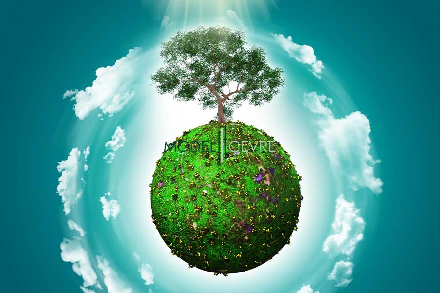 Çevre Danışmanlık Hizmetlerinde Çevresel Risk Tanımlaması - Model Çevre