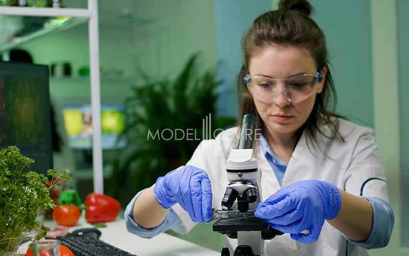 Çevre Görevlisi Sınavı - Model Çevre