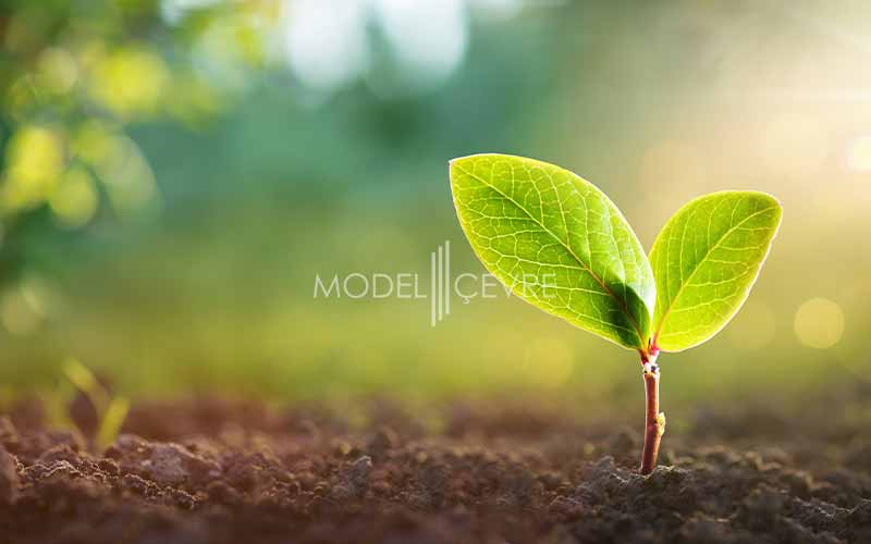 ISO 14001 Çevre Yönetim Sistemi Belgesi Nasıl Alınır? - Model Çevre