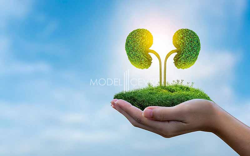 Sürdürülebilirlik Nedir? - Model Çevre Danışmanlık